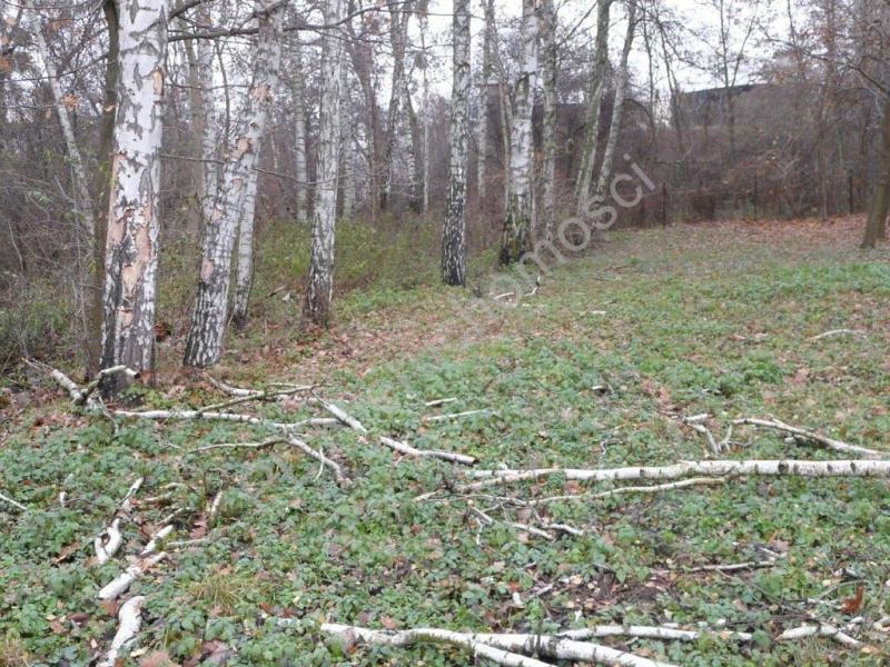 Działka na sprzedaż Grodzisk Mazowiecki