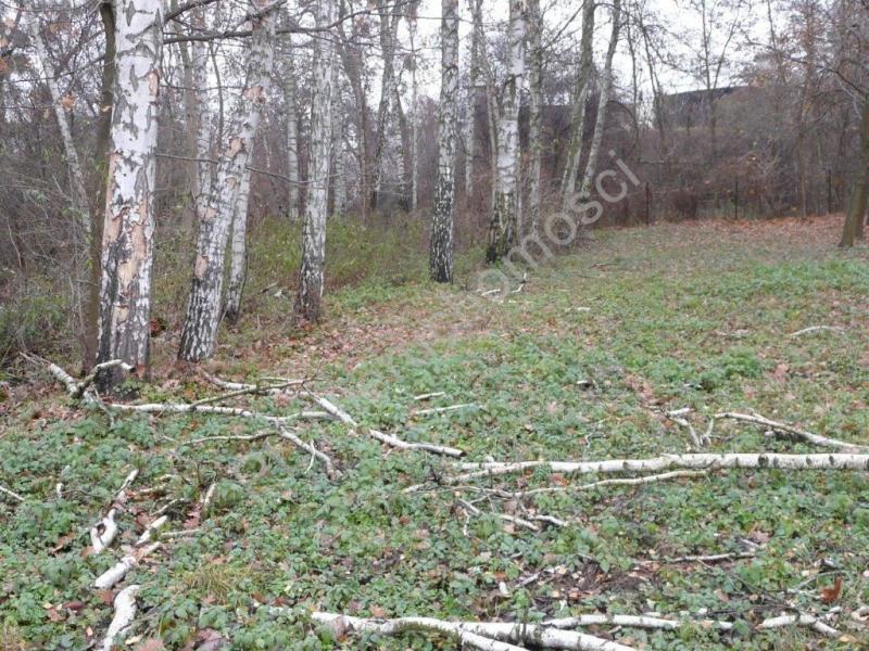 Działka na sprzedaż Grodzisk Mazowiecki