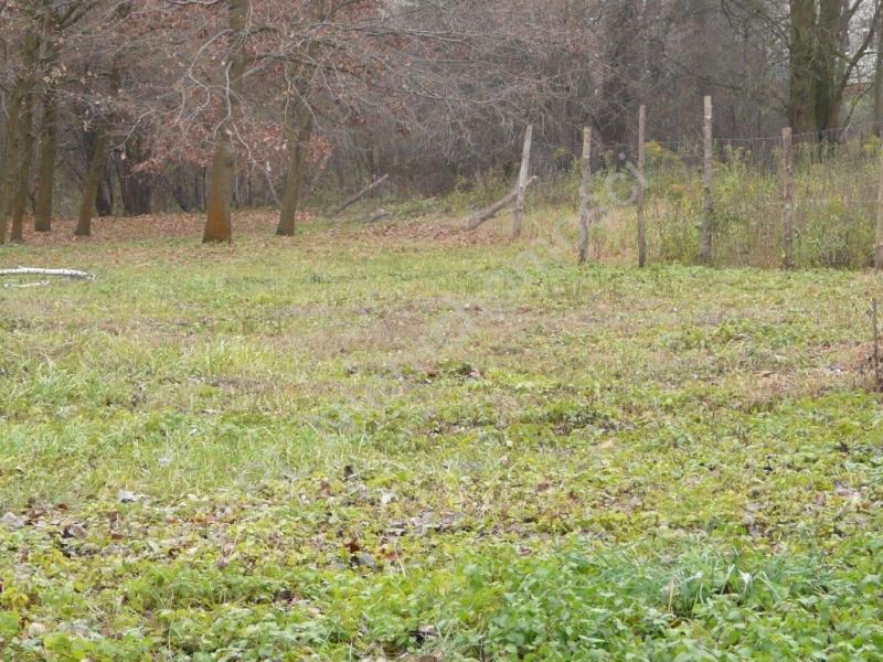 Działka na sprzedaż Grodzisk Mazowiecki