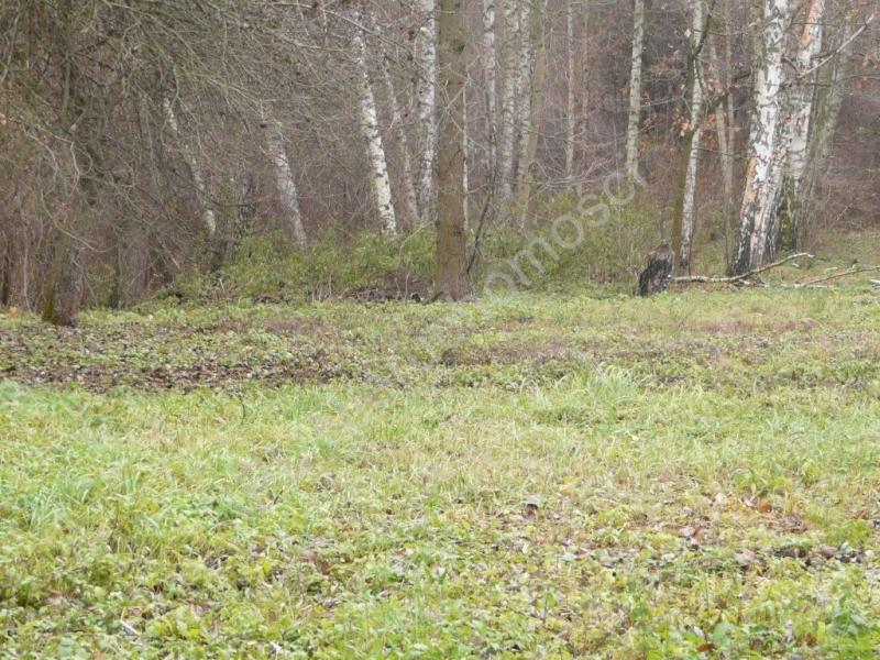 Działka na sprzedaż Grodzisk Mazowiecki