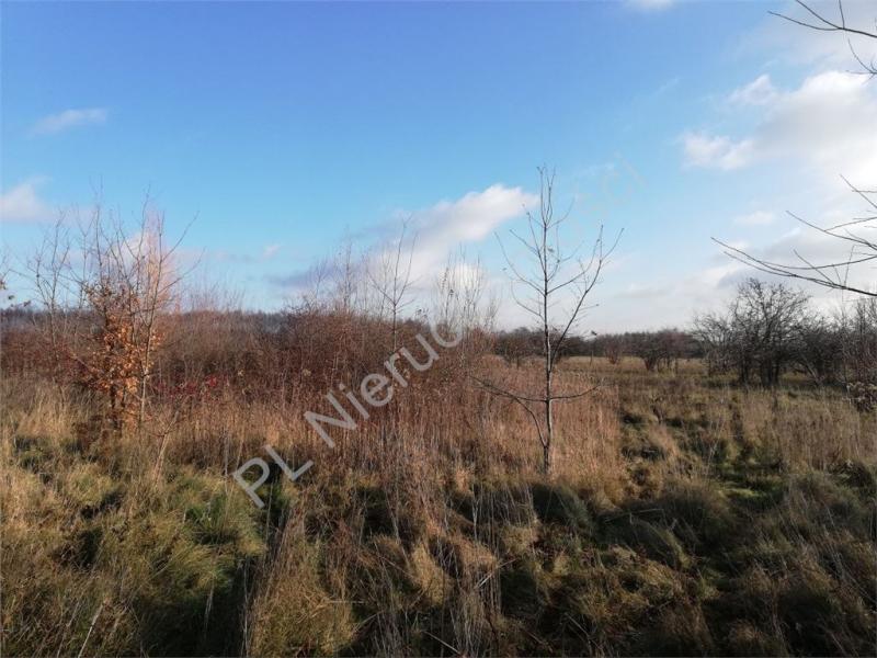 Działka na sprzedaż Dębe Wielkie