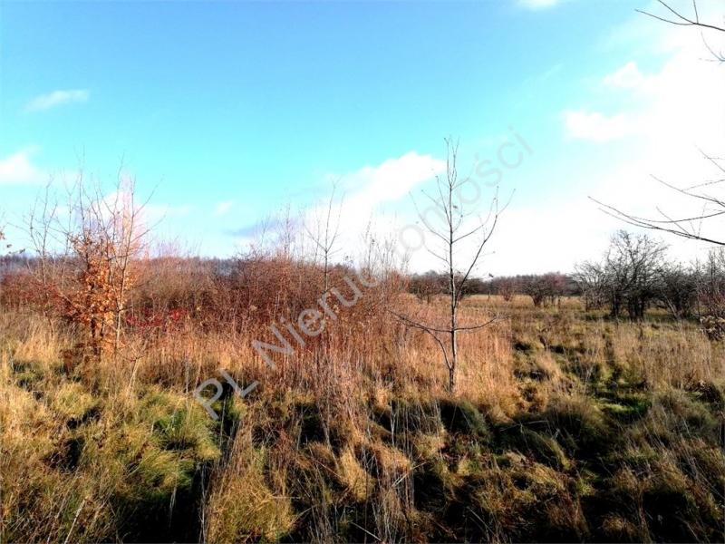 Działka na sprzedaż Dębe Wielkie