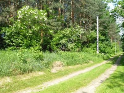 Działka na sprzedaż Józefów