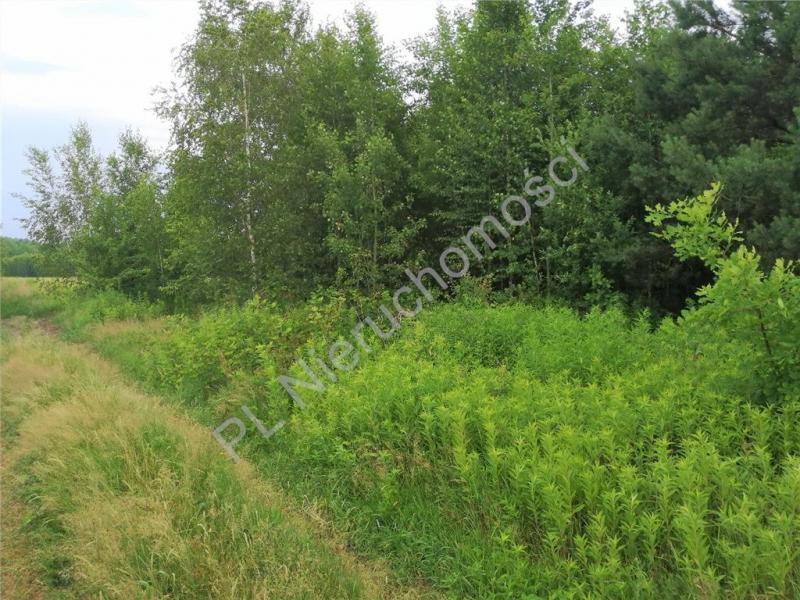 Działka na sprzedaż Stare Zakole