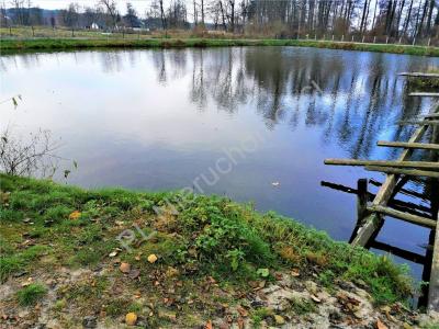 Działka na sprzedaż Wólka Poznańska