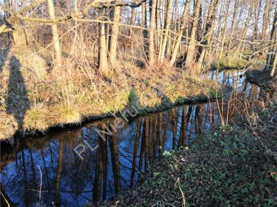 Działka na sprzedaż Trzebucza