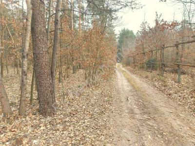 Działka na sprzedaż Nowe Groszki