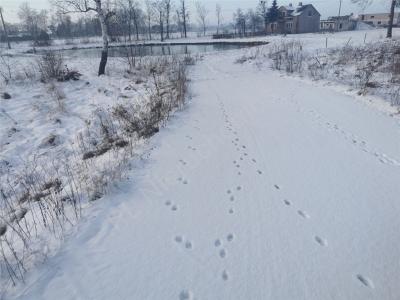 Działka na sprzedaż Izdebno Nowe