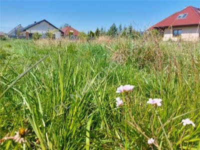 Działka na sprzedaż Kazimierów