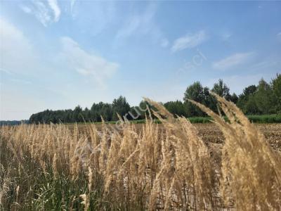 Działka na sprzedaż Piaseczno