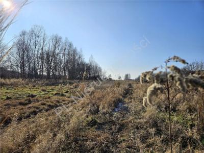 Działka na sprzedaż Maliszew