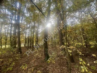 Działka na sprzedaż Osowiec
