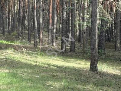 Działka na sprzedaż Józefów