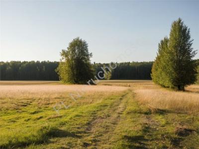 Działka na sprzedaż Adamów-Wieś