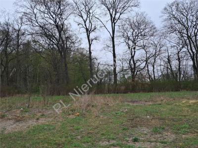 Działka na sprzedaż Kraśnicza Wola