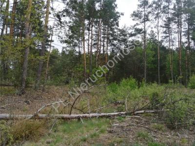 Działka na sprzedaż Kąty-Borucza