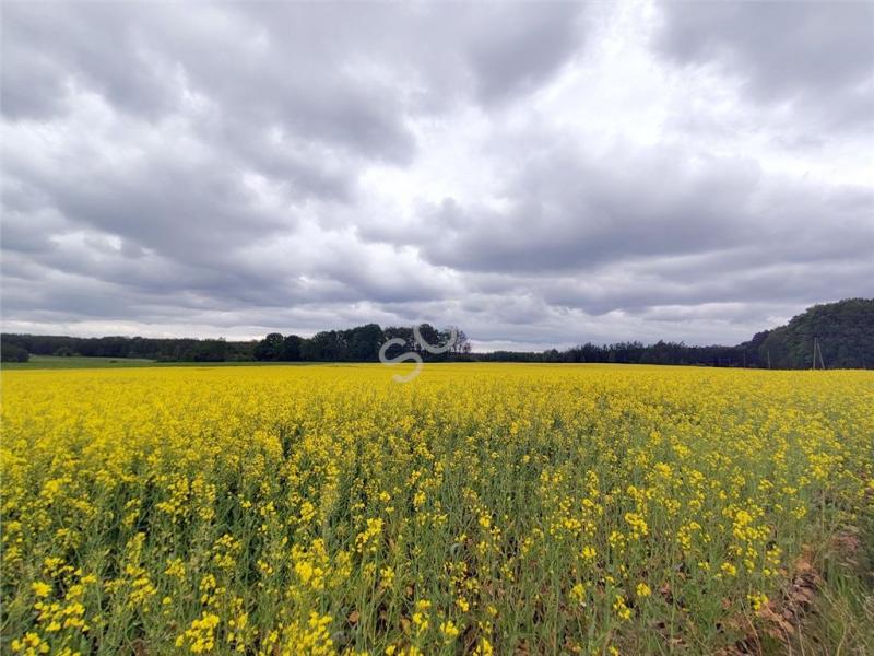 Dom na sprzedaż Pobyłkowo Małe