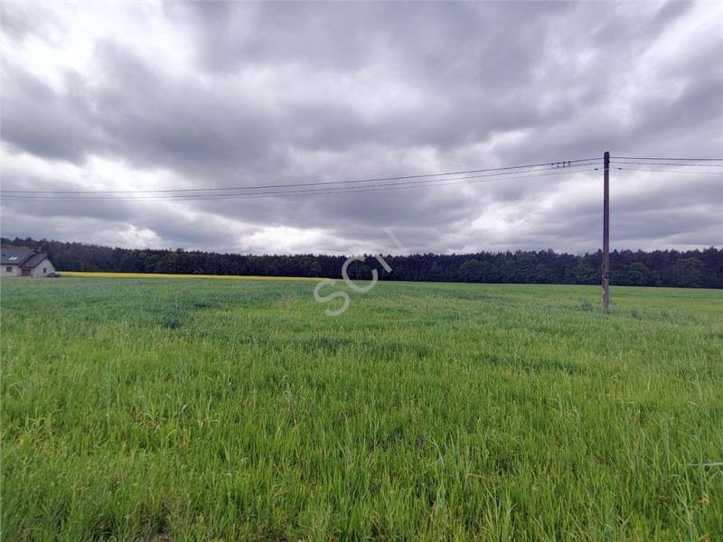 Dom na sprzedaż Pobyłkowo Małe