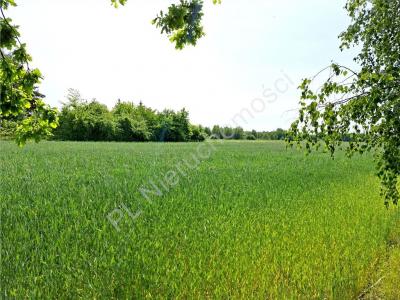 Działka na sprzedaż Borek Miński