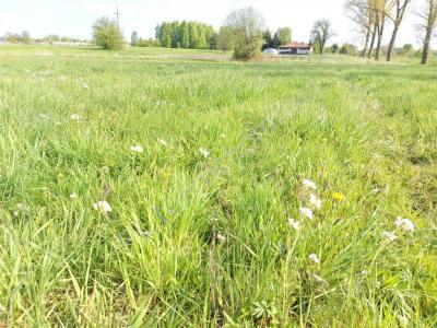 Działka na sprzedaż Posiadały