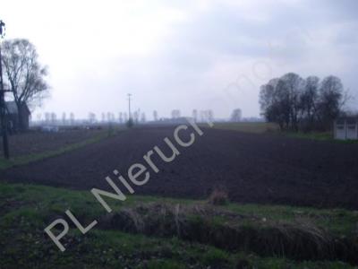 Działka na sprzedaż Jaktorów