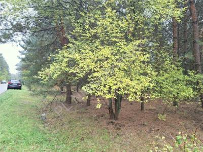 Działka na sprzedaż Strugi Krzywickie