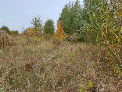 Działka na sprzedaż Jaktorów-Kolonia