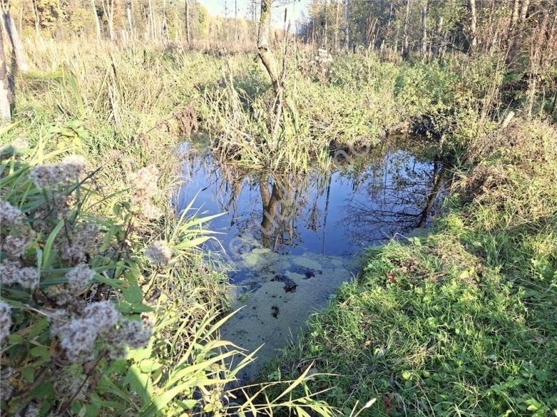Działka na sprzedaż Gójszcz