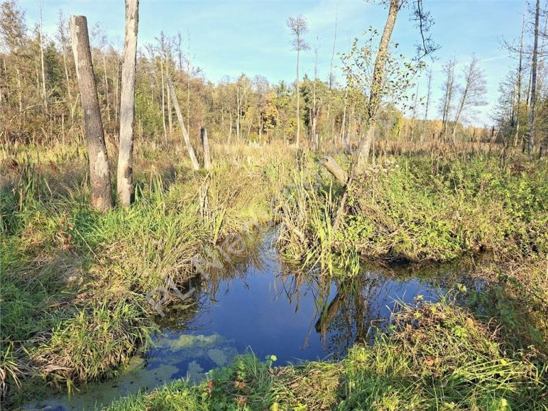 Działka na sprzedaż Gójszcz