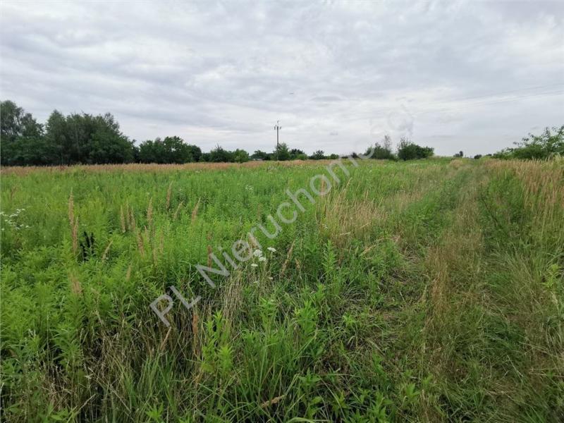 Działka na sprzedaż Michałowice-Wieś