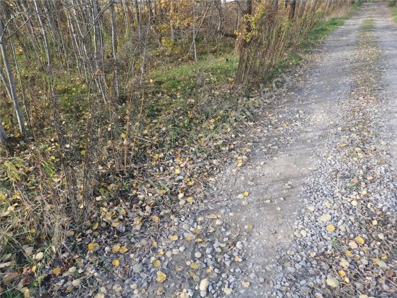 Działka na sprzedaż Makówka