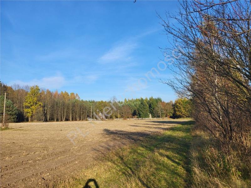 Działka na sprzedaż Gójszcz