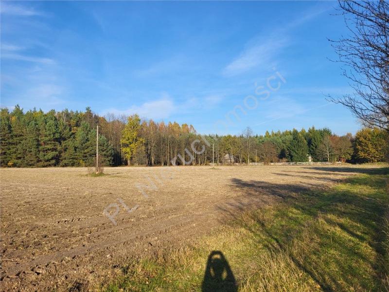 Działka na sprzedaż Gójszcz