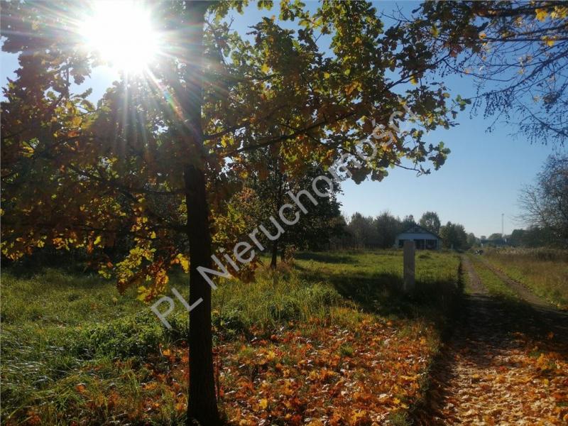 Działka na sprzedaż Krzewina