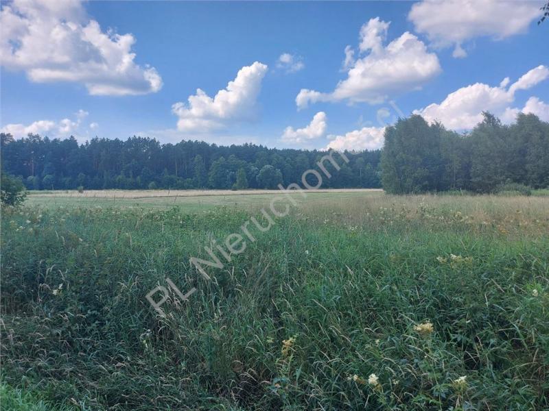 Działka na sprzedaż Rysie