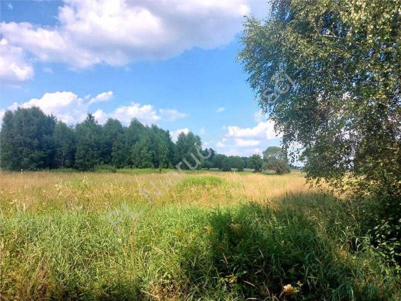 Działka na sprzedaż Rysie