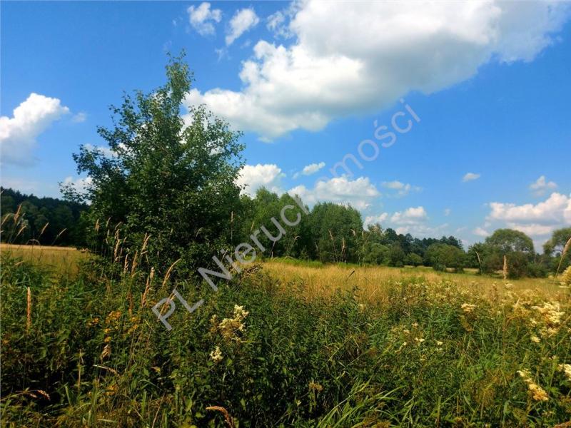 Działka na sprzedaż Rysie