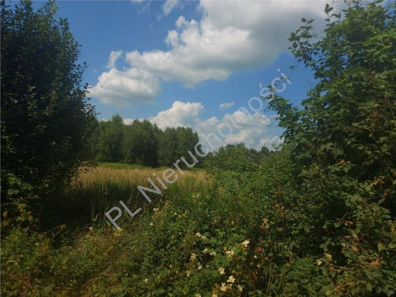 Działka na sprzedaż Rysie