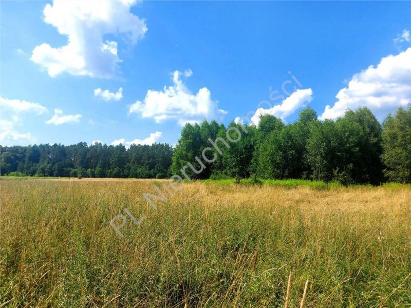 Działka na sprzedaż Rysie