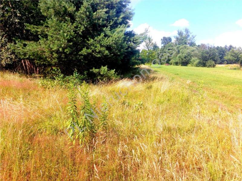 Działka na sprzedaż Rysie