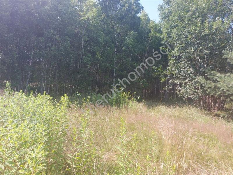 Działka na sprzedaż Rysie