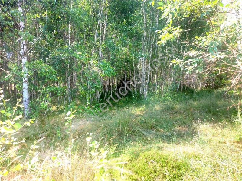 Działka na sprzedaż Rysie