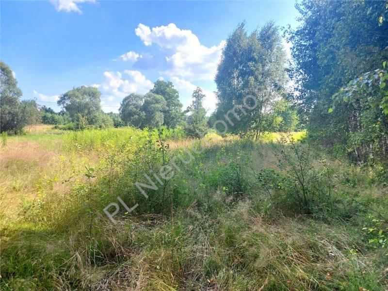 Działka na sprzedaż Rysie