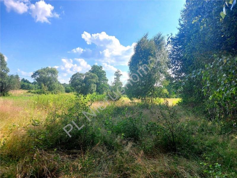 Działka na sprzedaż Rysie