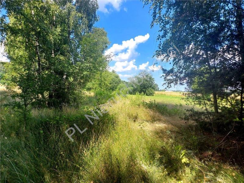 Działka na sprzedaż Rysie