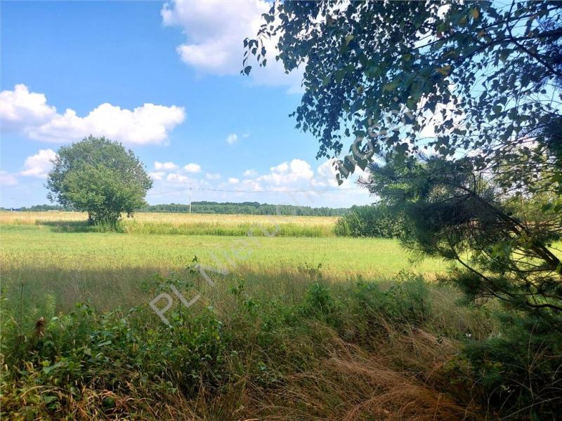 Działka na sprzedaż Rysie