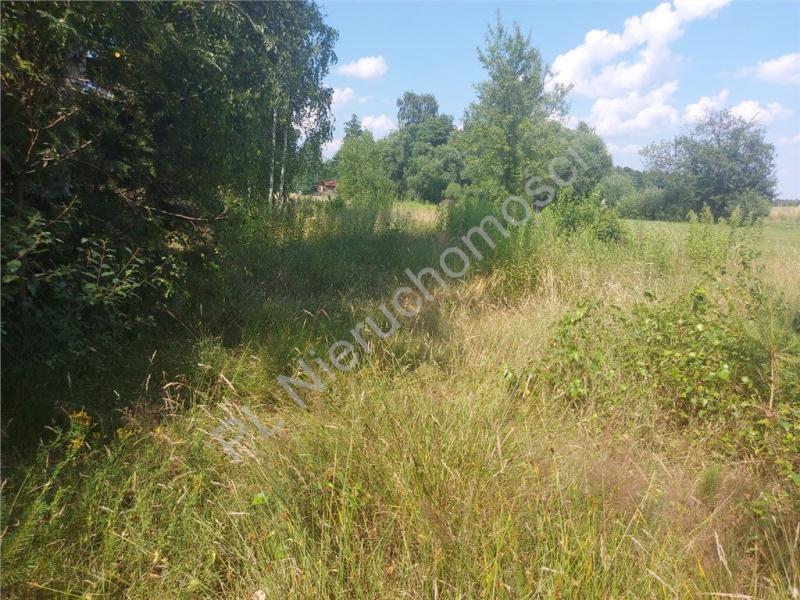 Działka na sprzedaż Rysie