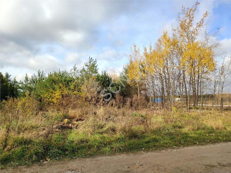 Działka na sprzedaż Izbica