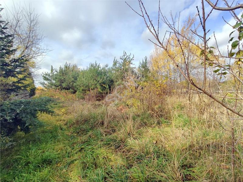 Działka na sprzedaż Izbica