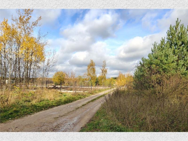 Działka na sprzedaż Izbica